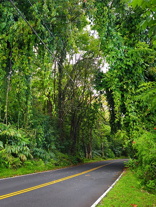 Big Island of Hawaii — Day 4: Volcano to Hilo