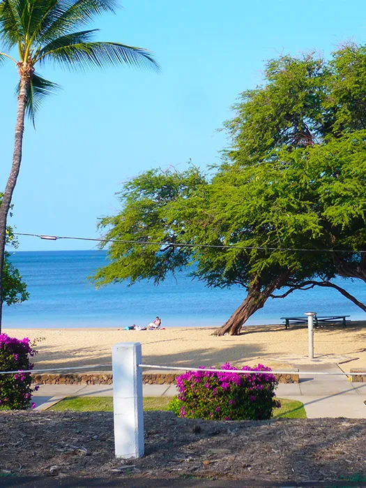 Big Island of Hawaii — Day 6: Waimea to Kailua-Kona