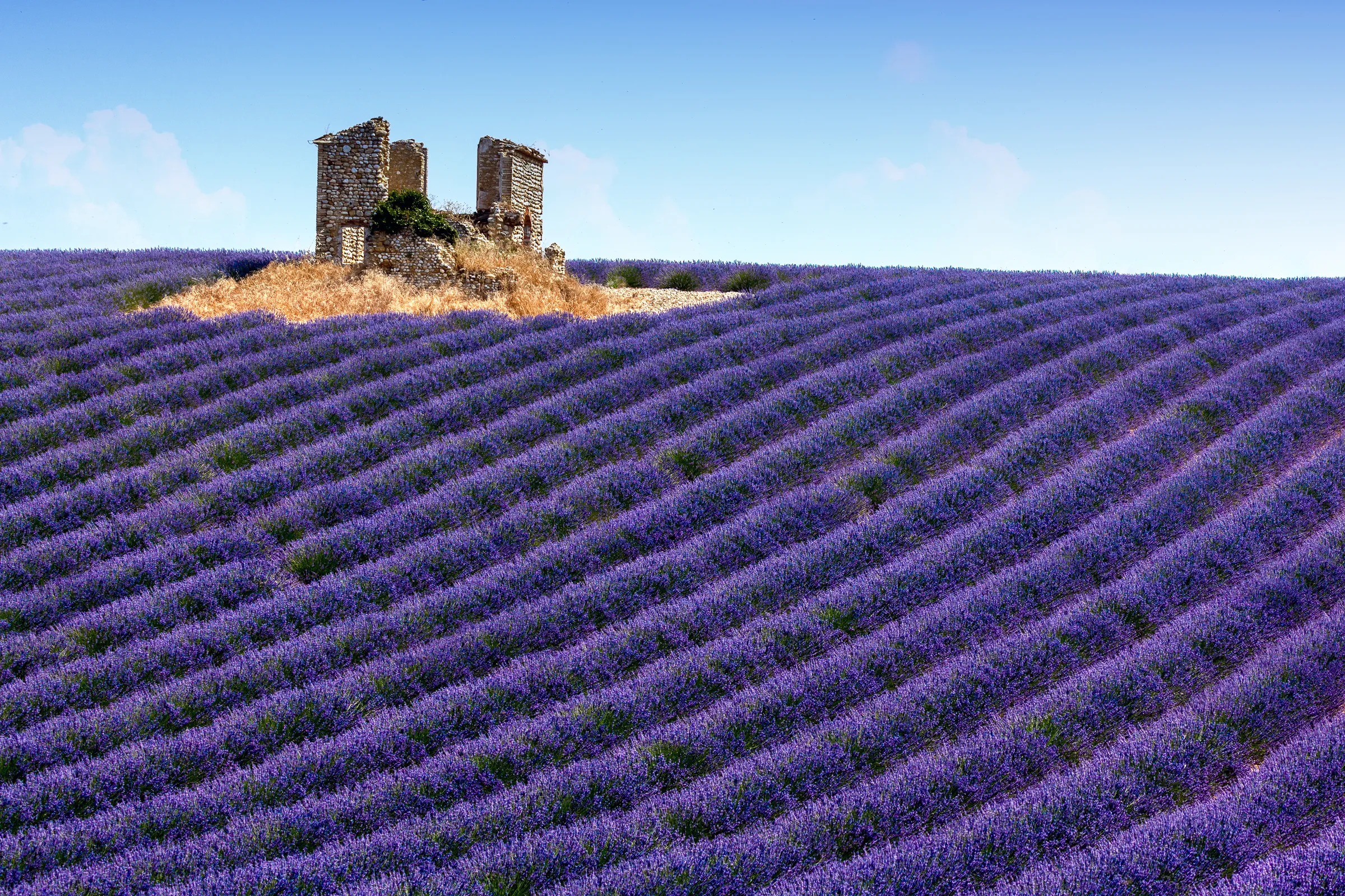 Provence - Slide 4