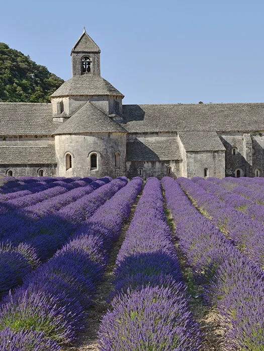 Provence — Day 4: Bédoin to Gordes