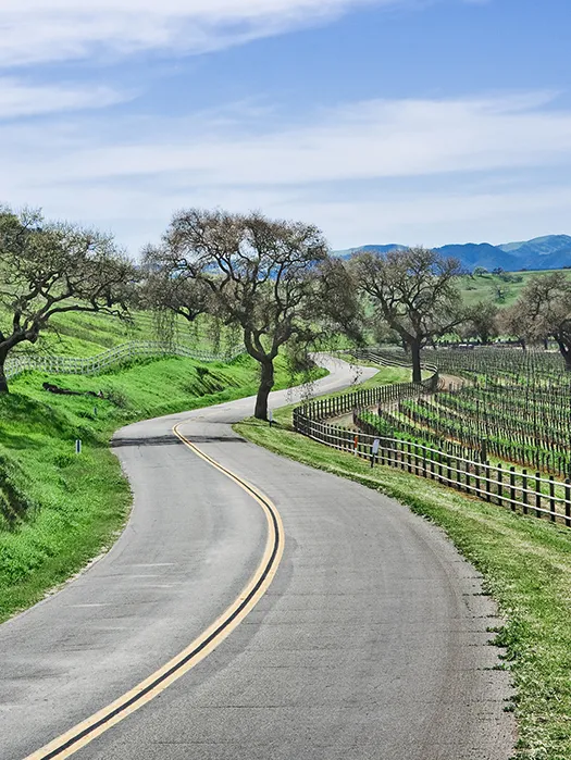 Santa Barbara Wine Country — Day 5: Solvang Loop