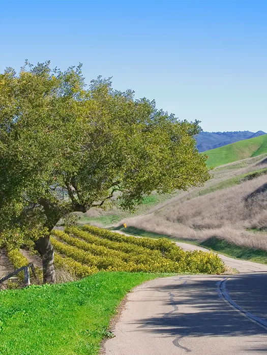 Santa Barbara Wine Country — Day 6: Solvang Loop (transfer to Santa Barbara)