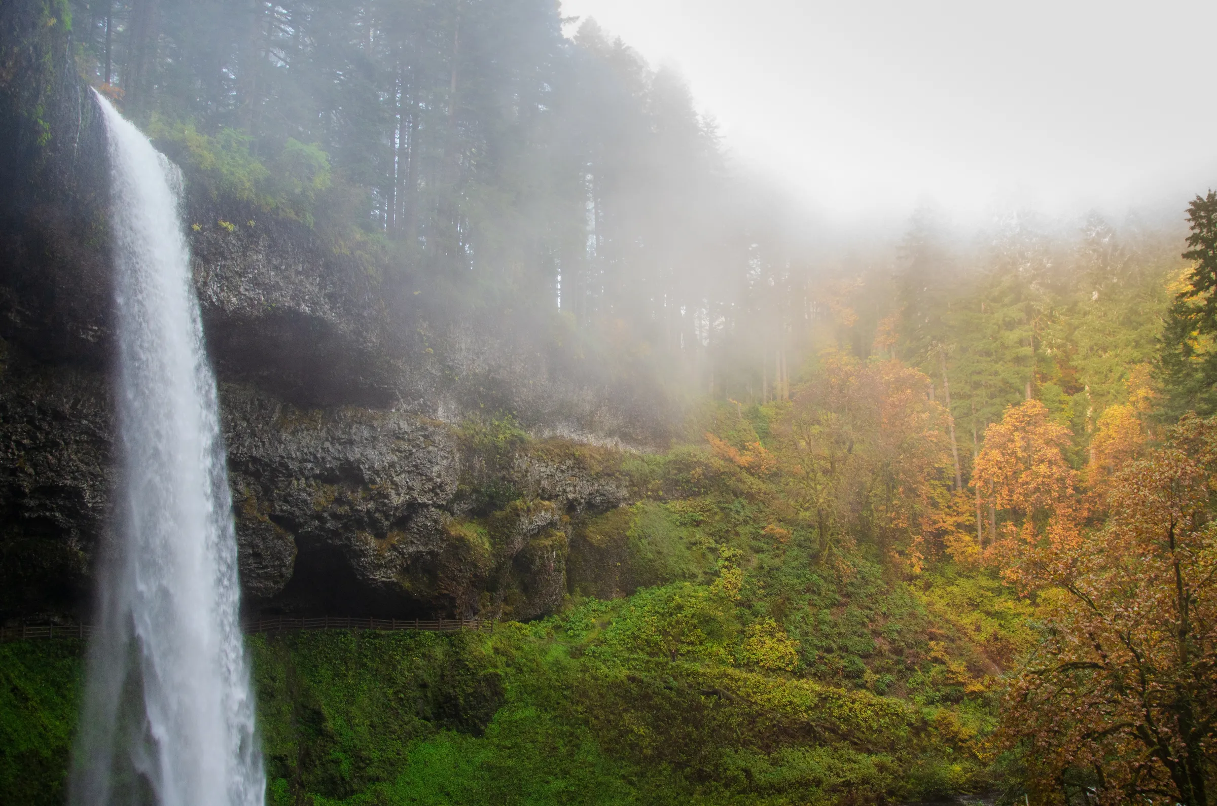 Willamette Valley - Slide 2