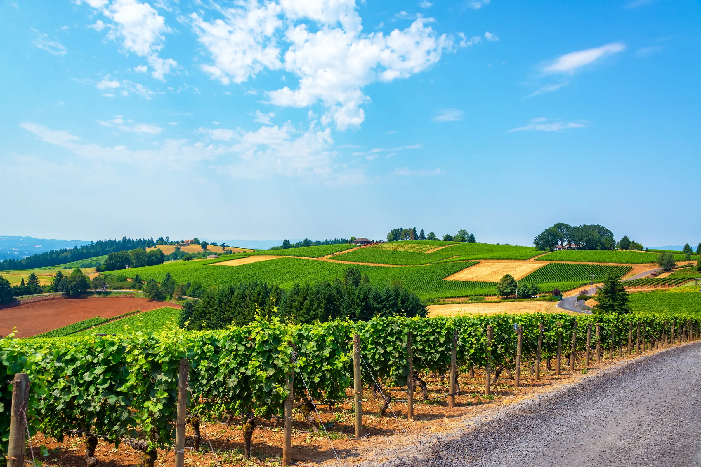 Willamette Valley - Slide 3
