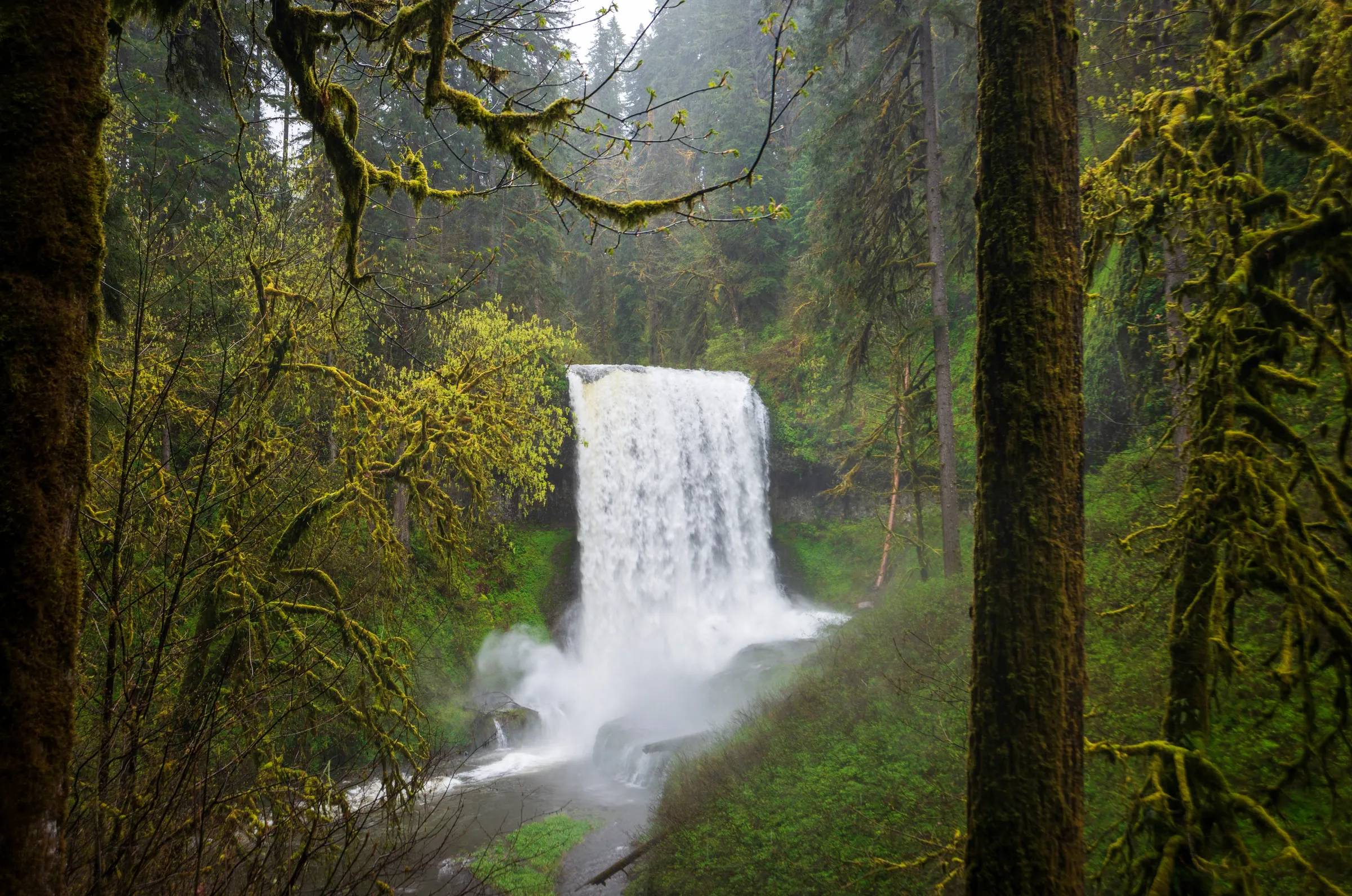 Willamette Valley - Slide 4