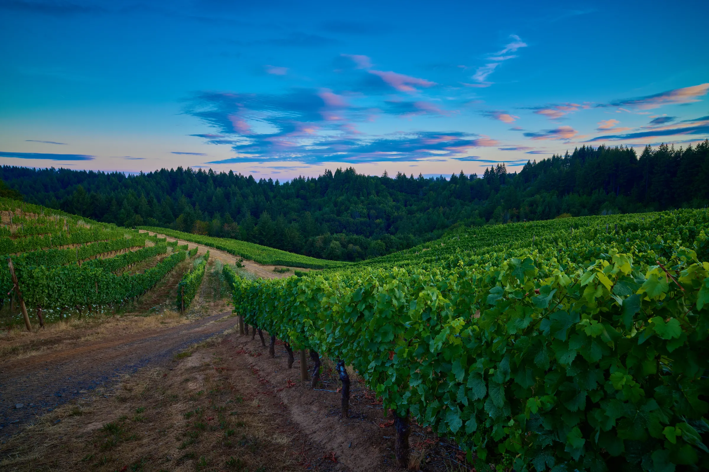 Willamette Valley - Slide 5