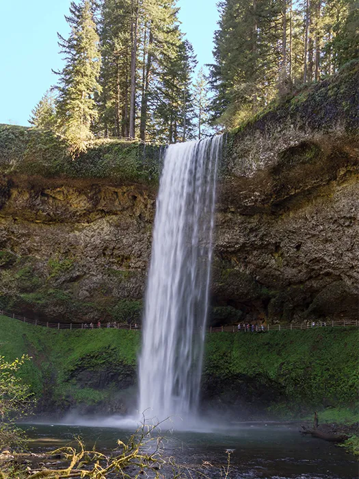 Willamette Valley — Day 5: Silverton Loop Day — Last Day