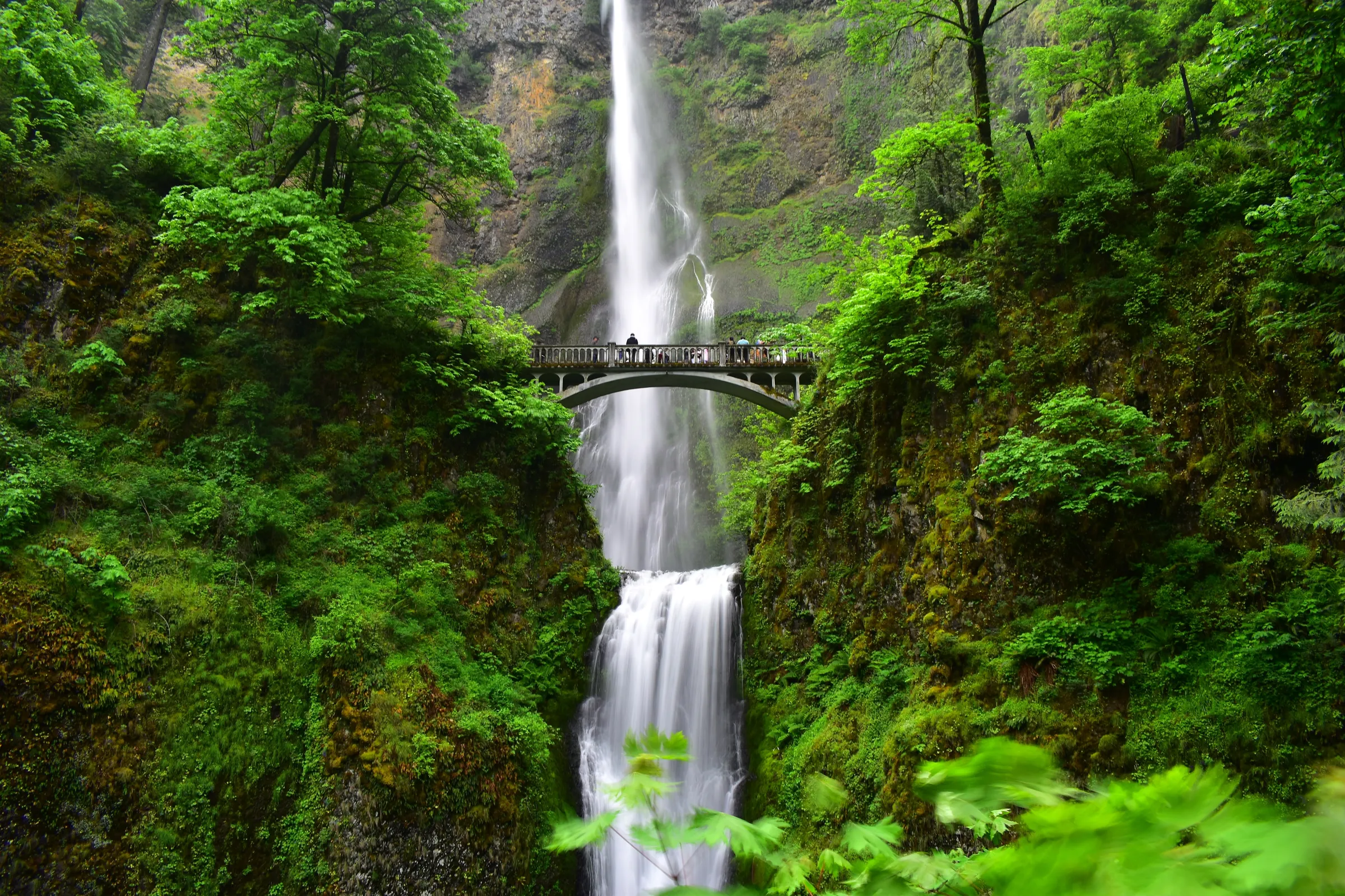 Mount Hood & Columbia Gorge - Slide 4