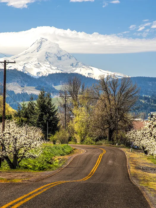 Mt. Hood & Willamette Valley — Day 1: Cooper Spur to Hood River