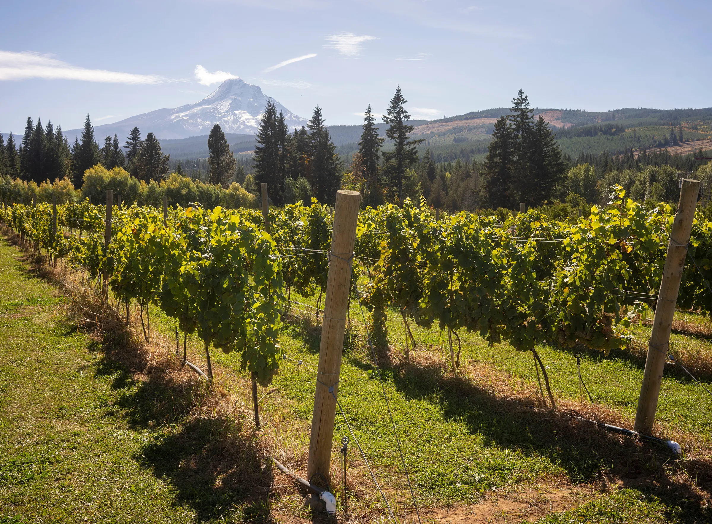 Willamette Valley - Slide 1