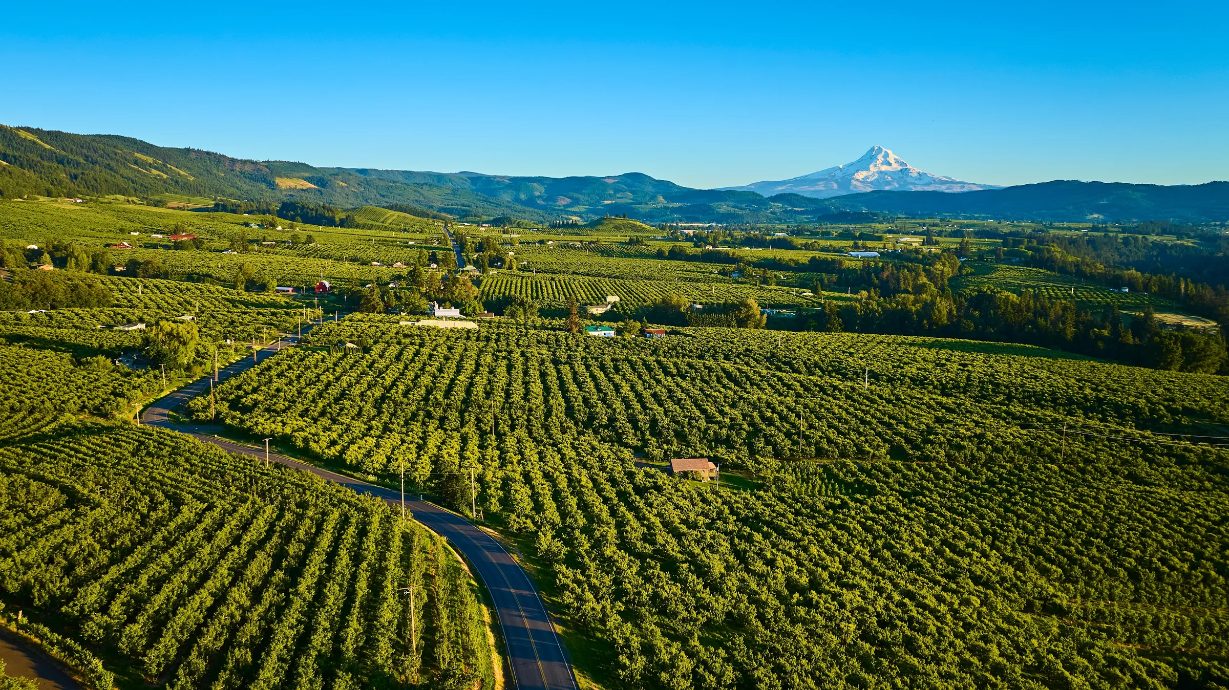 Mount Hood & Columbia Gorge - Slide 2