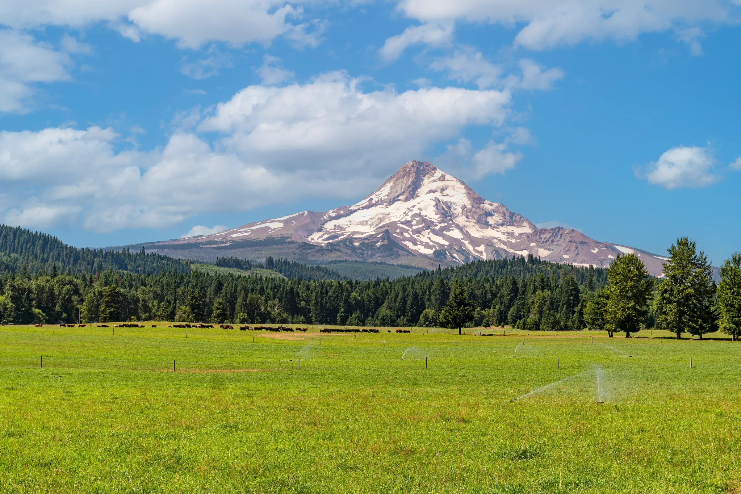 Mount Hood & Willamette Valley - Slide 1