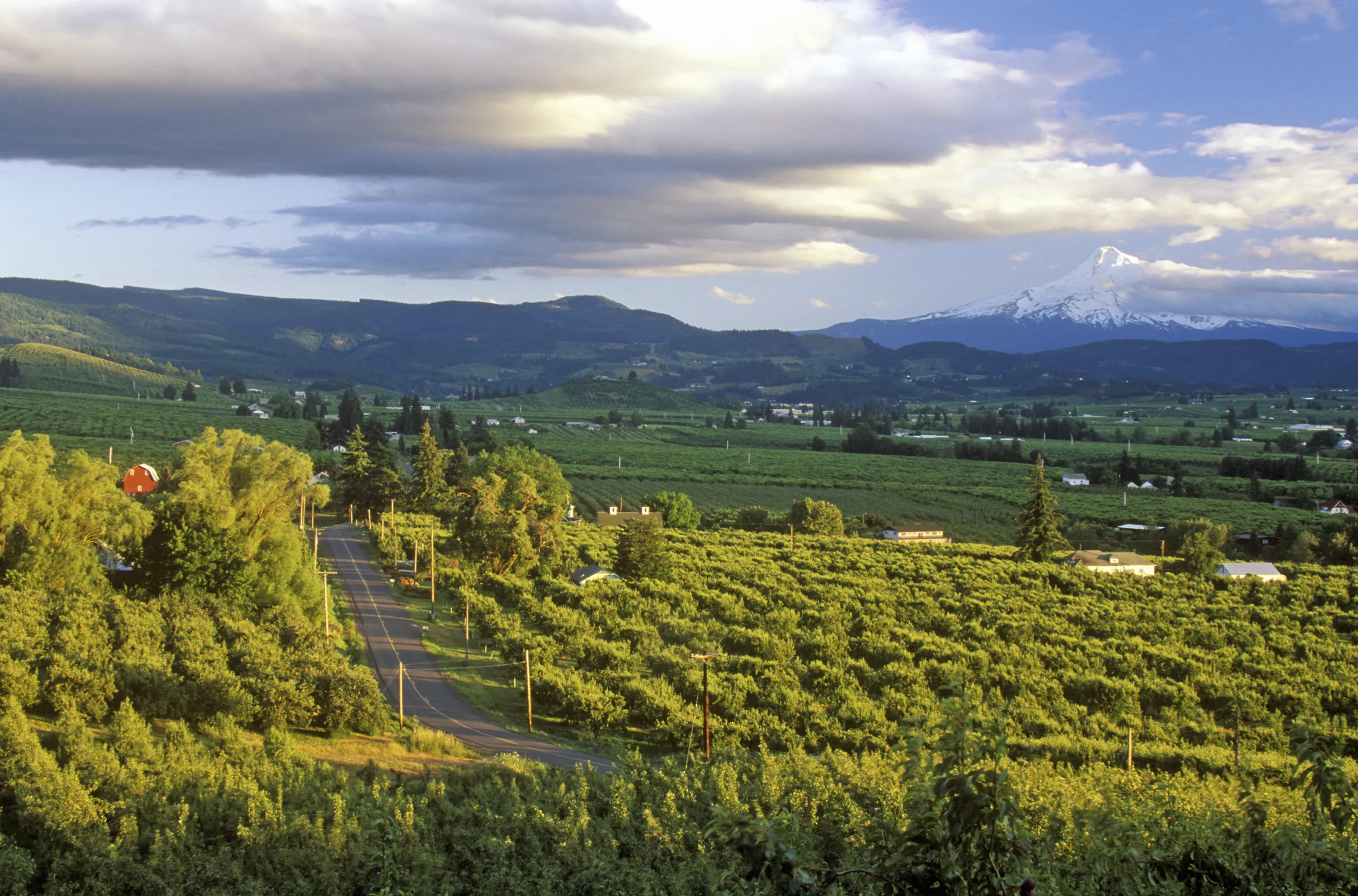Mount Hood & Willamette Valley - Slide 5