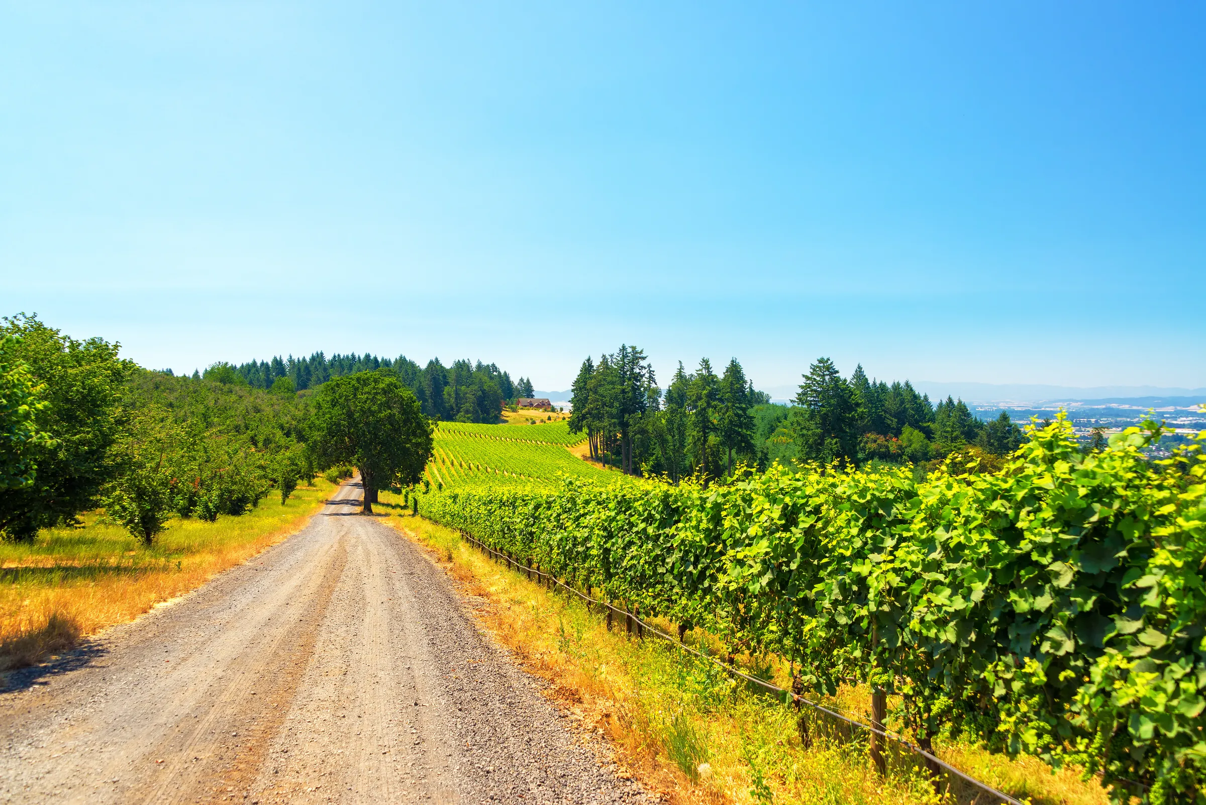 Mount Hood & Willamette Valley - Slide 2