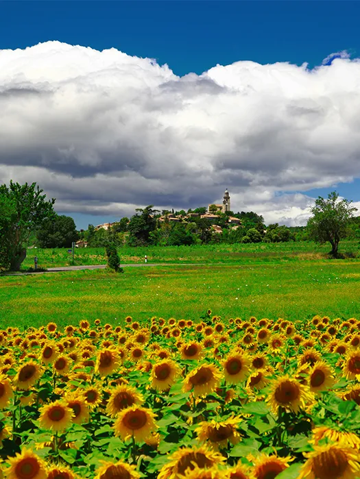 Tuscany — Day 4: San Gimignano to Sovicille