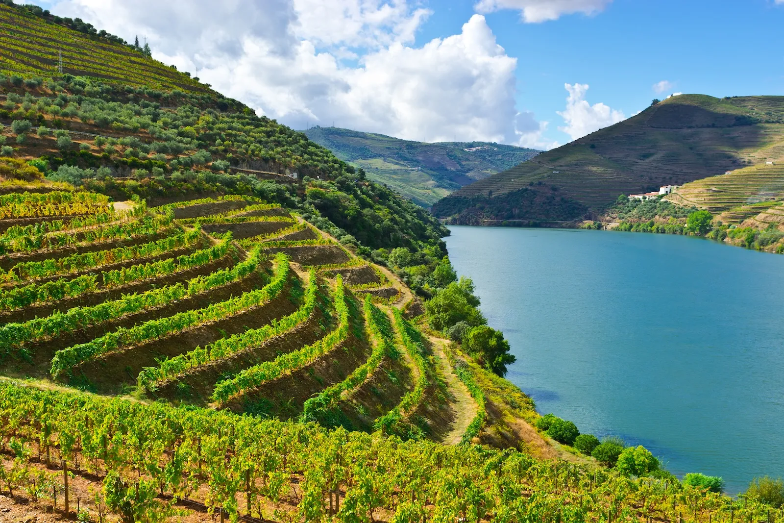 Douro Valley Portugal Touring Guide