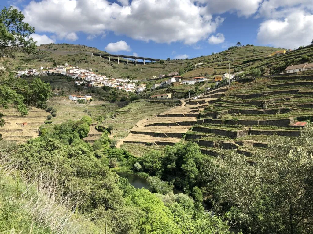 Douro_Valley_Portugal