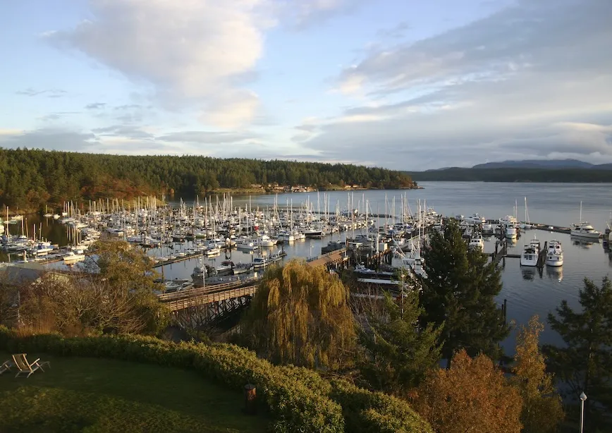 San Juan Islands Touring Guide
