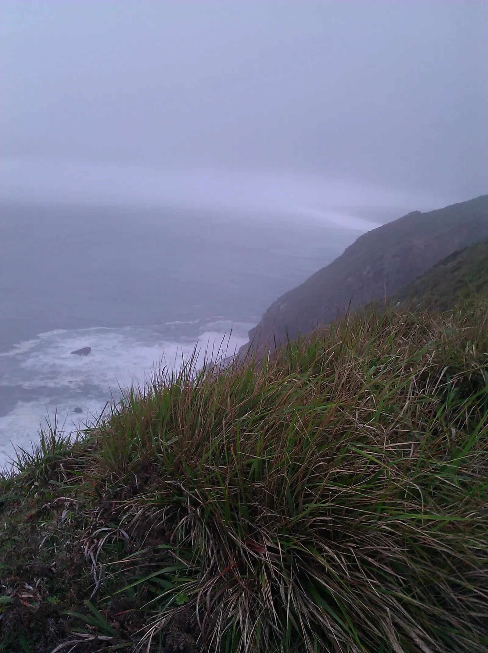 California Cycling: In and Around Pt Reyes National Seashore