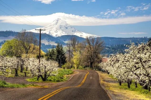 Oregon Touring Guide