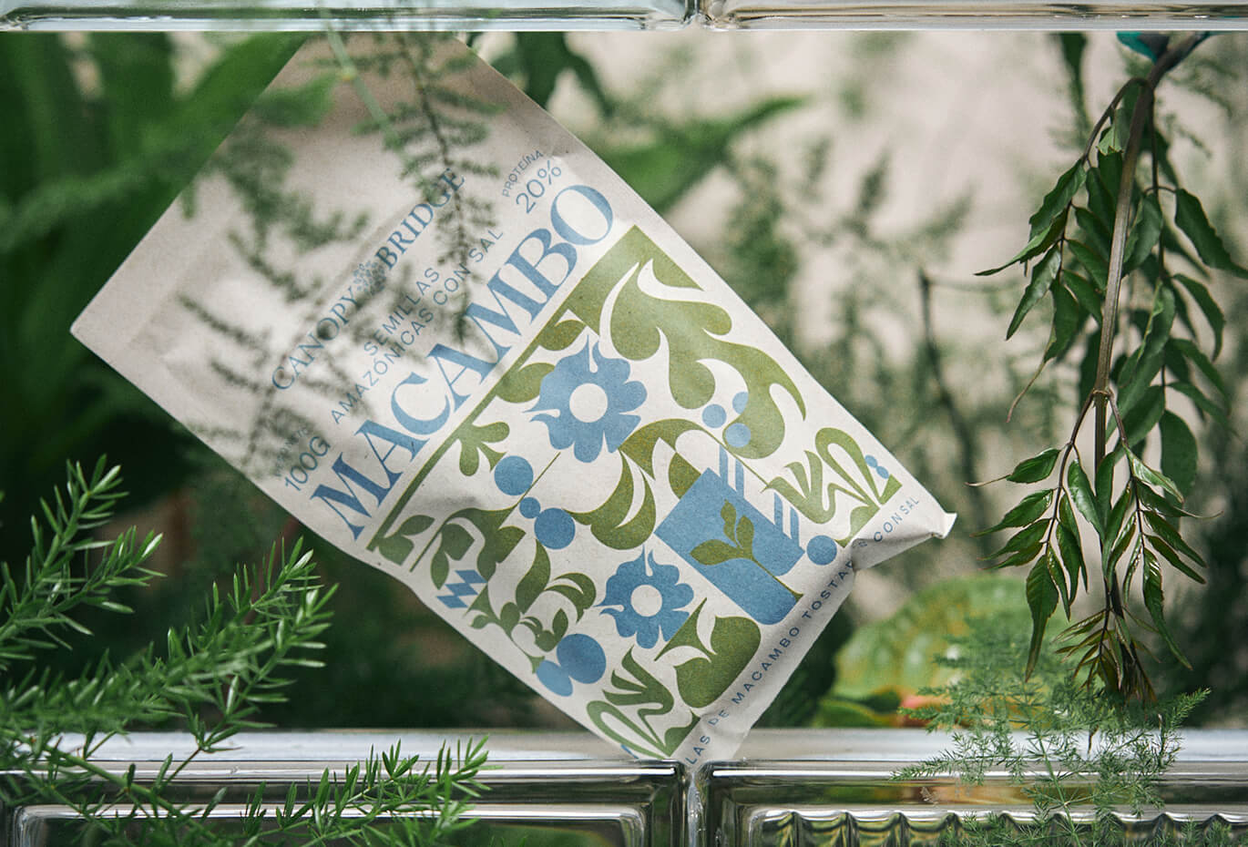 Product photography of Canopy Bridge Macambo packaging displayed among lush green plants and glass textures, featuring botanical illustration, soft blue and green branding, and natural food packaging design created by Lunalunares Studio for a plant-based A