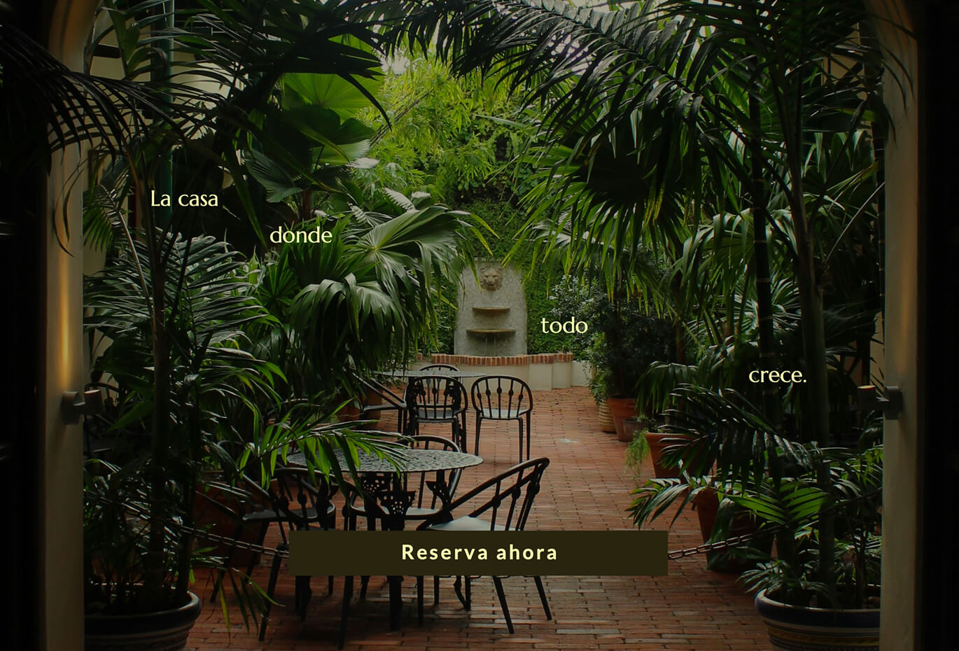 Homepage website design for Casa Cece featuring a lush tropical courtyard, elegant hospitality branding, Spanish booking call to action, and atmospheric visual direction created by Lunalunares Studio for a boutique hotel or guesthouse experience.