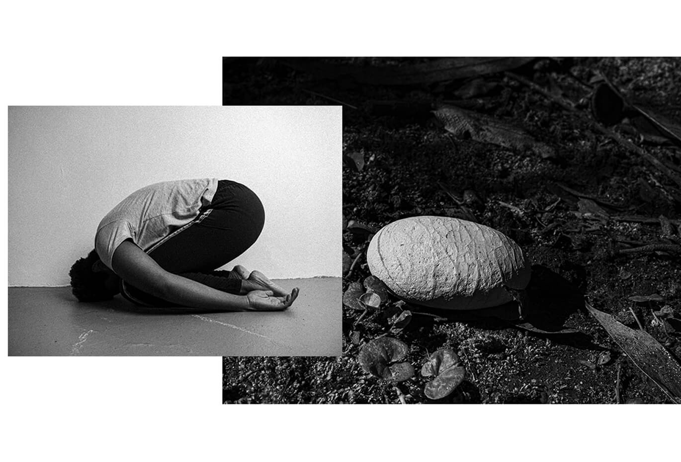 Black and white photographic collage combining a curled human figure with an organic natural texture, creating a conceptual visual composition.