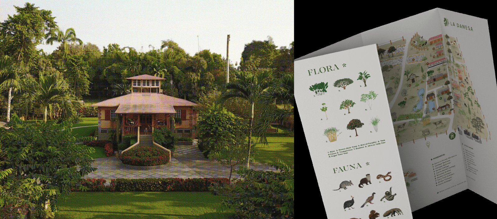 Branding and brochure design for La Danesa Farmhouse by Lunalunares, showing an aerial view of the tropical hacienda alongside an illustrated fold-out map with flora, fauna, and guest information.
