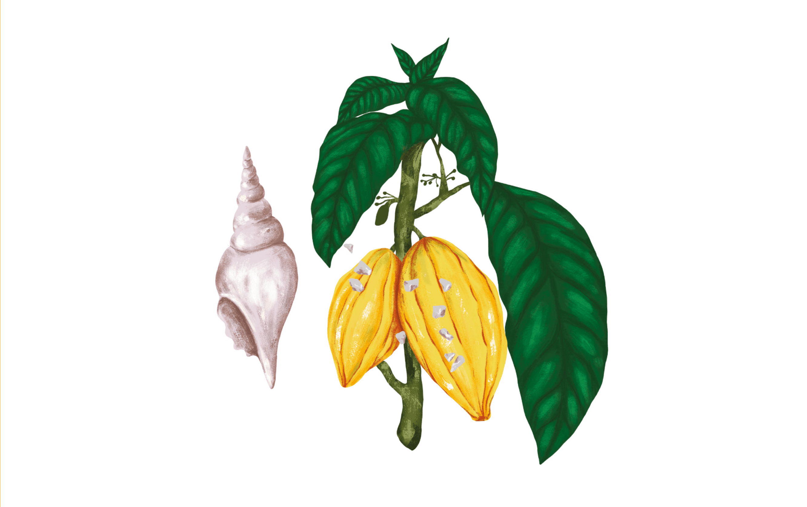 Botanical illustration for La Danesa Farmhouse by Lunalunares, showing cacao pods, tropical green leaves, a decorative shell, and mineral details in a hand-painted visual style.