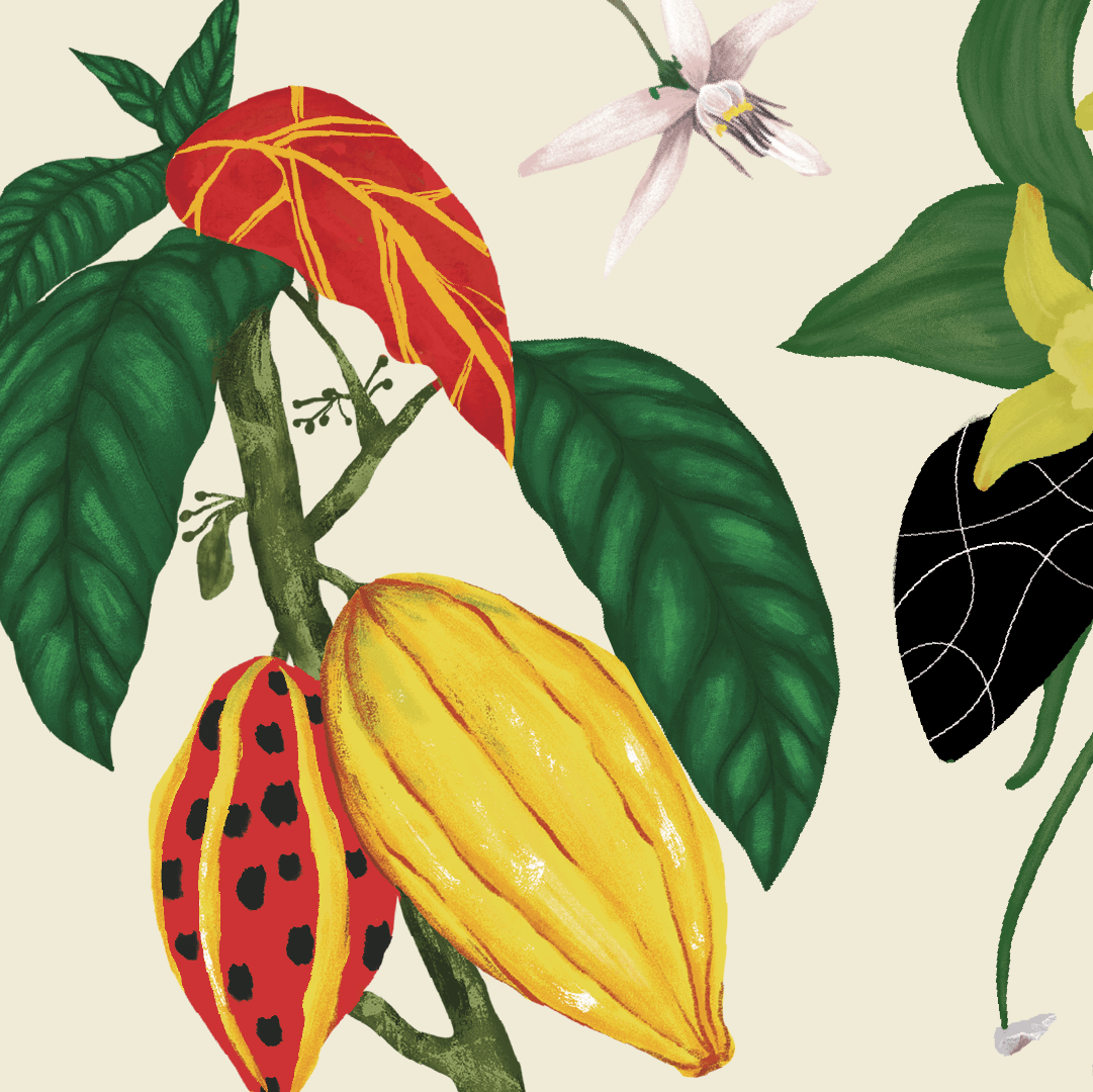 Cacao and vanilla botanical pattern for La Danesa by Lunalunares, combining tropical leaves, cacao pods, flowers, organic shapes, and colorful illustrated textures.