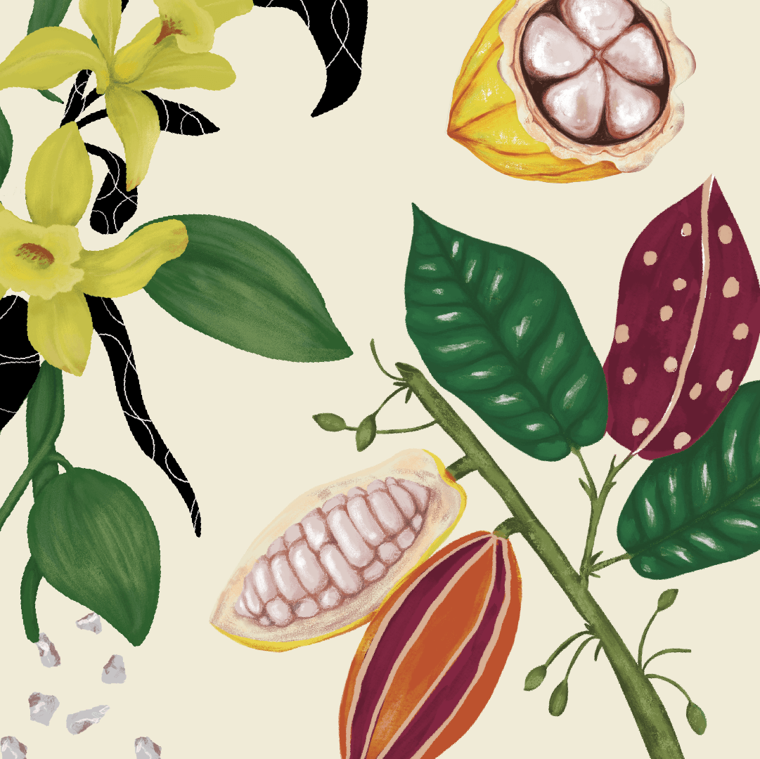 Botanical pattern illustration for La Danesa by Lunalunares, featuring cacao pods, tropical leaves, flowers, mineral accents, and hand-drawn textures for the brand identity system.