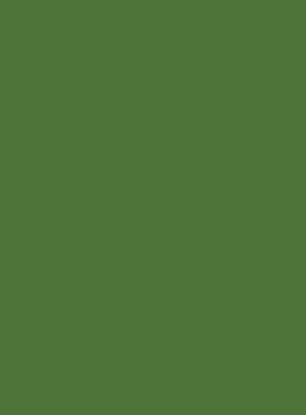 Solid green brand background asset for La Danesa by Lunalunares, used as part of the visual identity system and color palette applications.