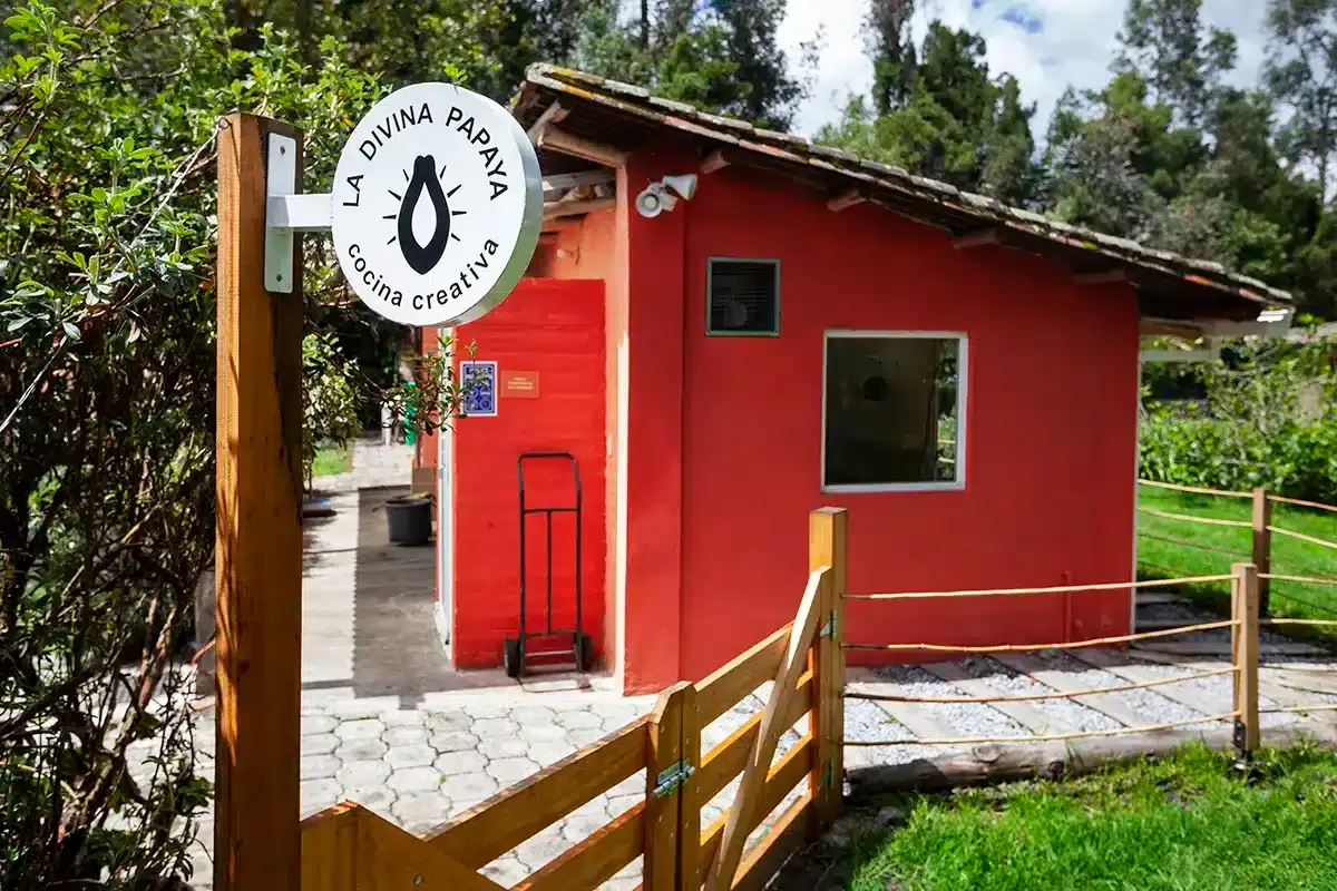 Restaurant exterior and signage for La Divina Papaya by Lunalunares, showing the red building facade, circular brand sign, rustic gate, and welcoming entrance surrounded by greenery.