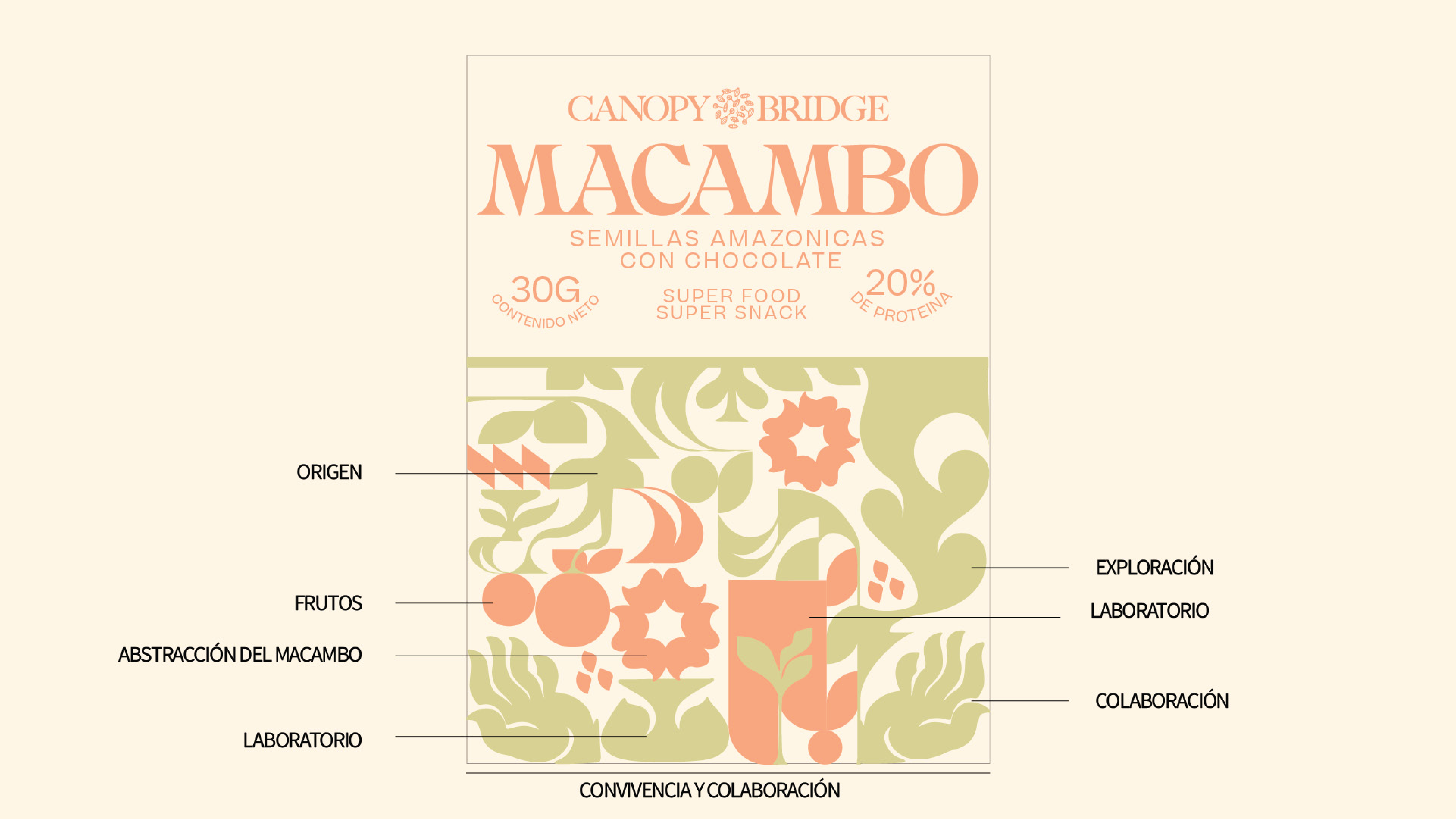 Macambo packaging concept for Canopy Bridge by Lunalunares, featuring Amazonian seed and chocolate snack label design with botanical iconography, origin references, collaboration cues, and warm natural colors.