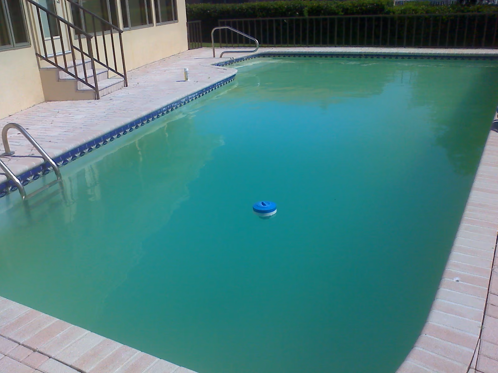 Cloudy pool water is one of the most common problems Auckland pool owners face. This guide covers the main causes, from water chemistry to filtration, and walks you through how to clear it up properly.