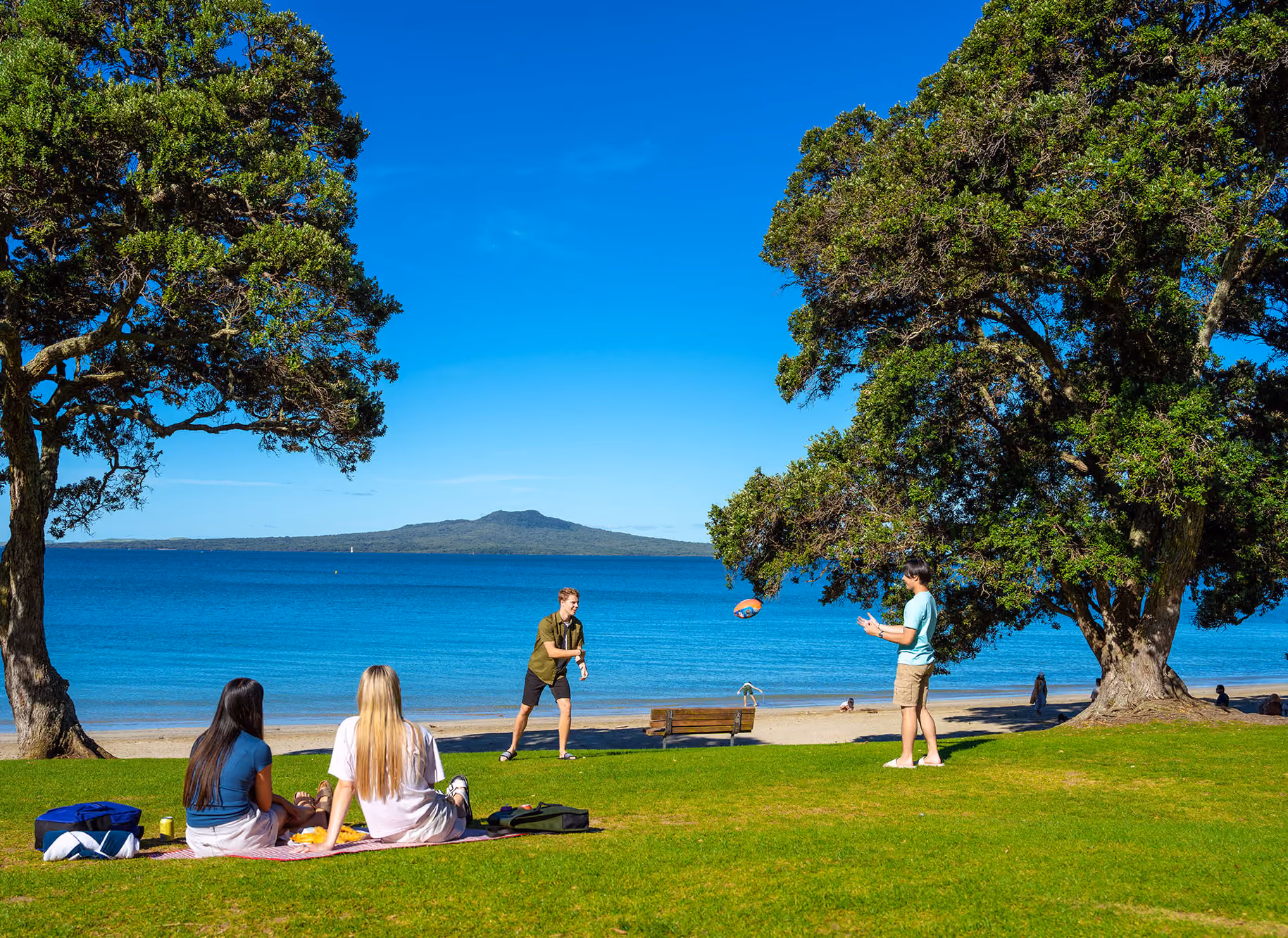 Pool valet, servicing and renovation for Takapuna homes, beachfront properties and apartment complexes around Lake Pupuke.