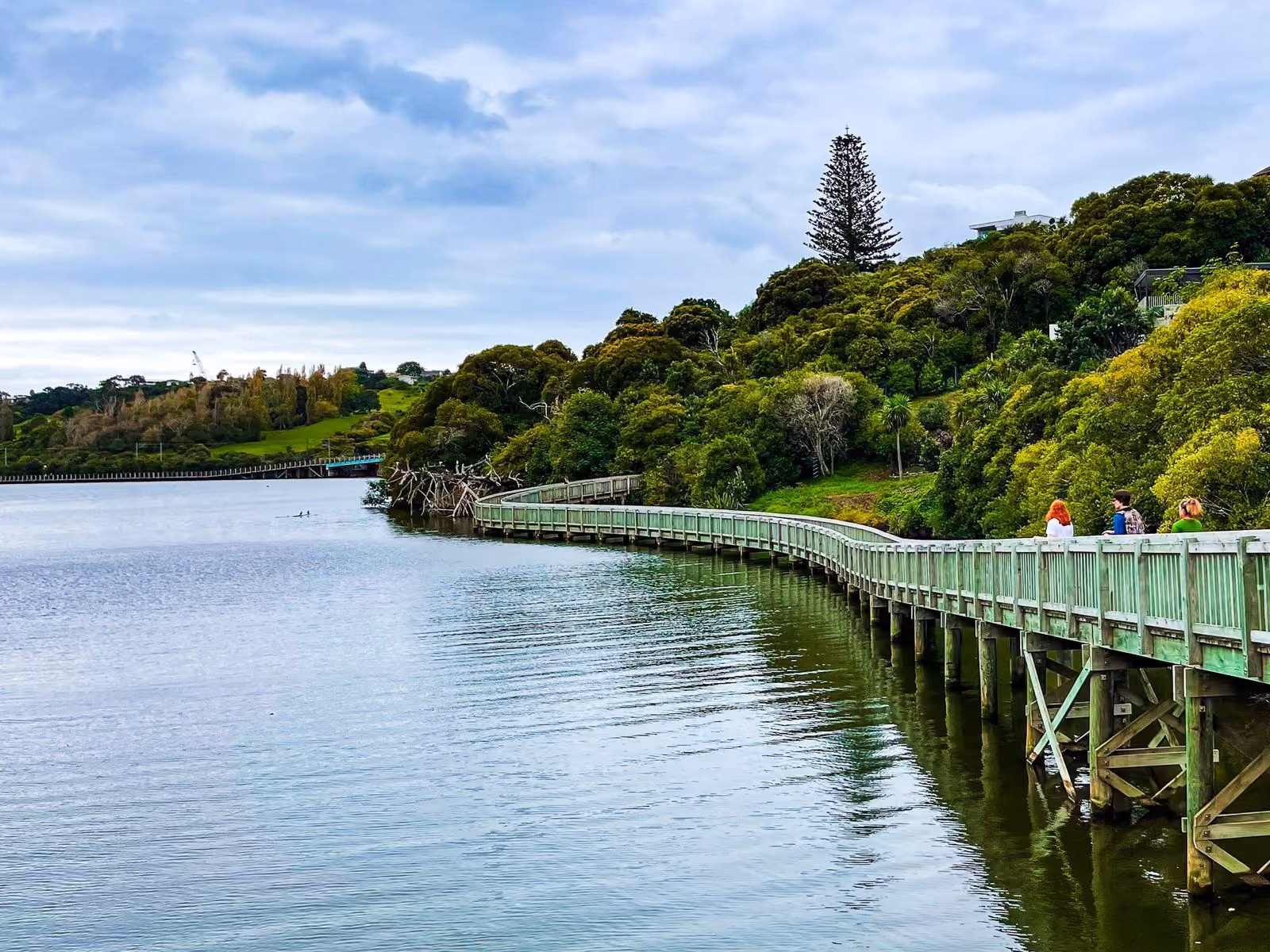 Pool valet, servicing and renovation for Orakei properties, including steep harbourside sections and pools with restricted plant access.