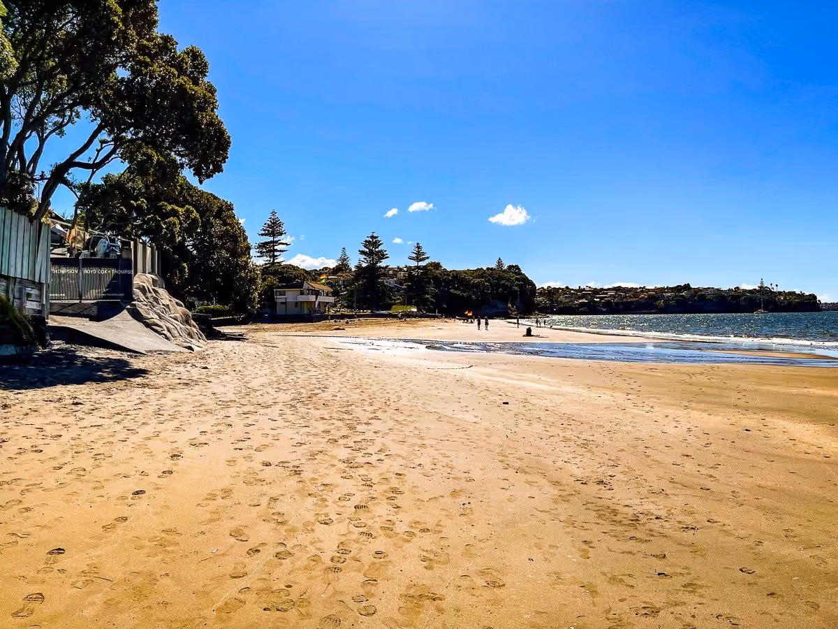 Pool valet, servicing and renovation for Mairangi Bay homes, rentals and townhouse developments.