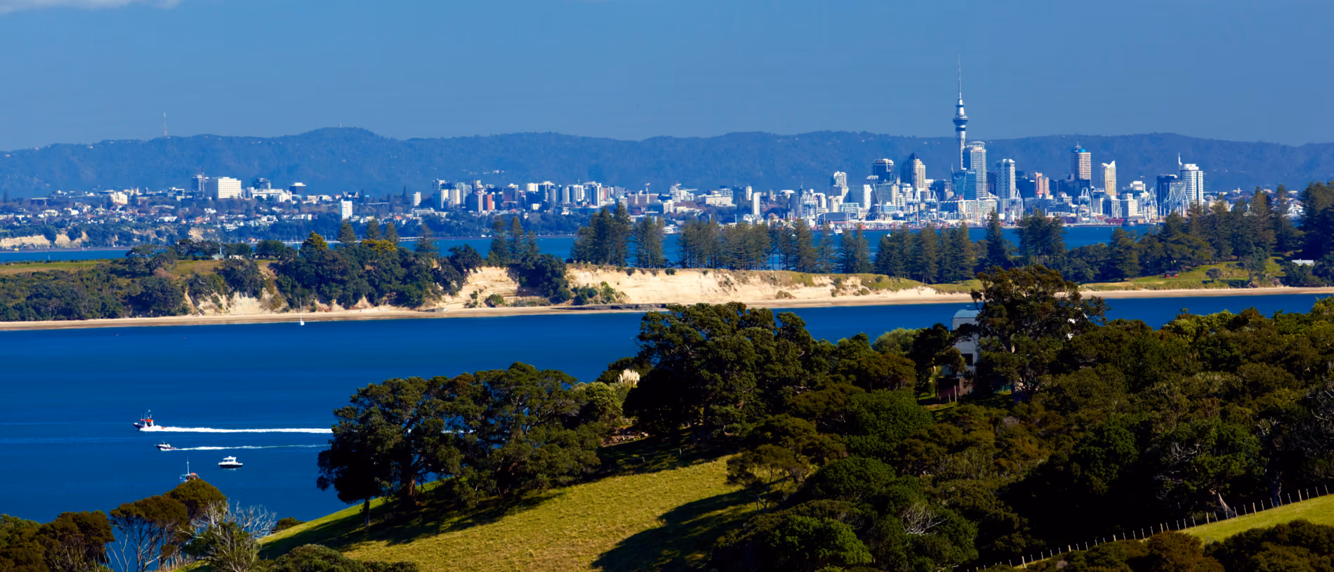 Pool valet, servicing and renovation for Hauraki homes between Takapuna and Belmont.