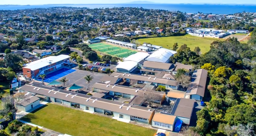Pool valet, servicing and renovation for Northcross family homes on the upper East Coast Bays.