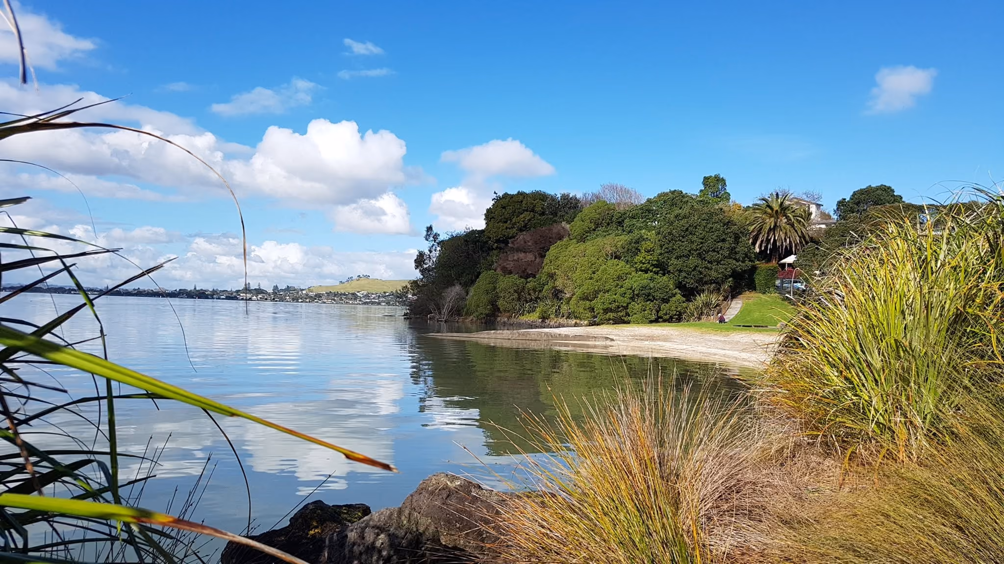 Pool valet, servicing and renovation for Hillsborough homes on the Manukau Harbour slopes.