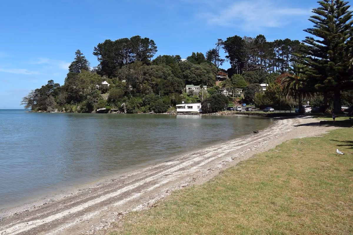 Pool valet, servicing and renovation for Laingholm bush properties on the Manukau Harbour.