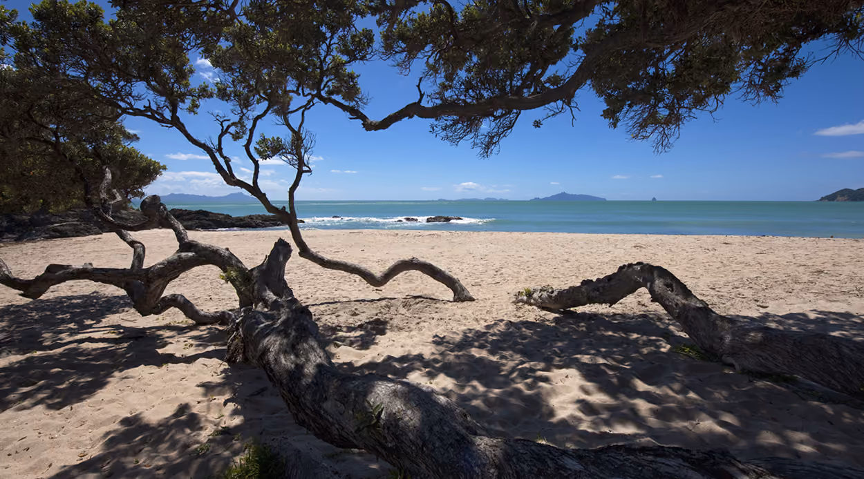 Pool servicing, repair and renovation for Langs Beach and Waipu Cove holiday homes on Bream Bay.