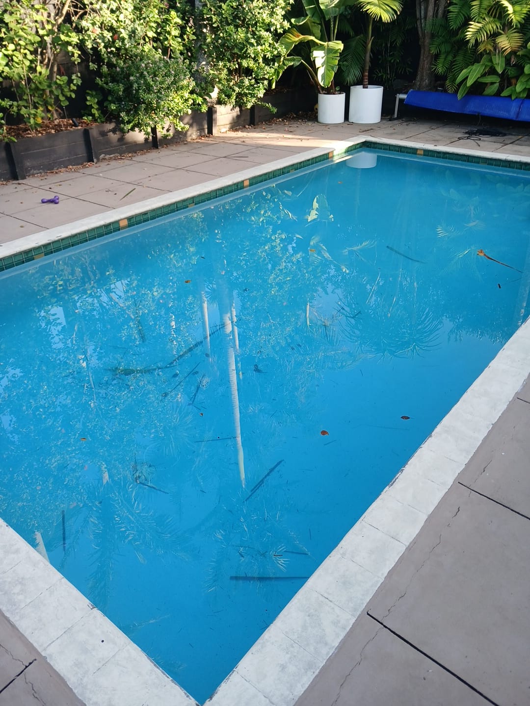 A Tired Pool Given a New Lease on Life