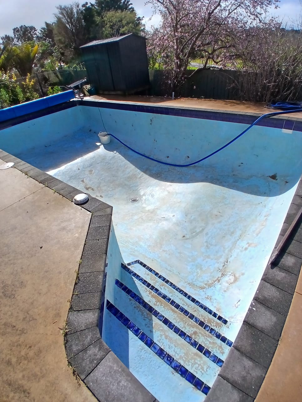 Hauraki Blue Pool Renovation in Auckland