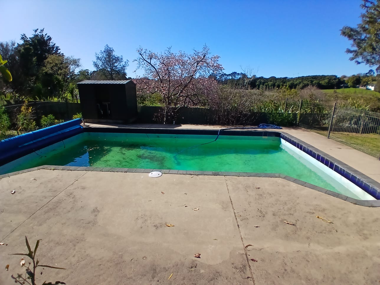 Hauraki Blue Pool Renovation in Auckland