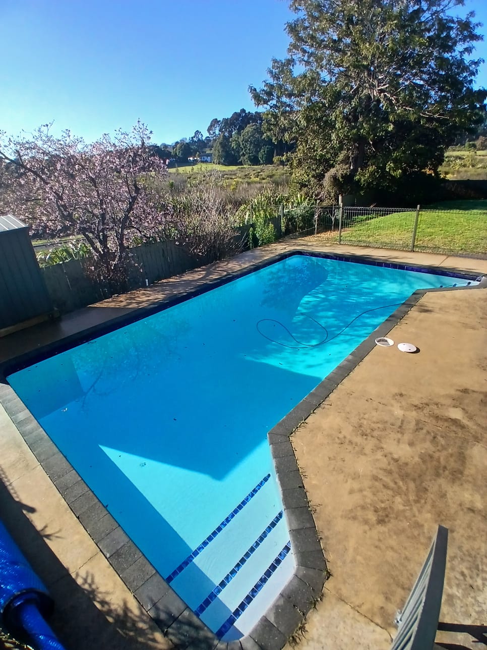 Hauraki Blue Pool Renovation in Auckland