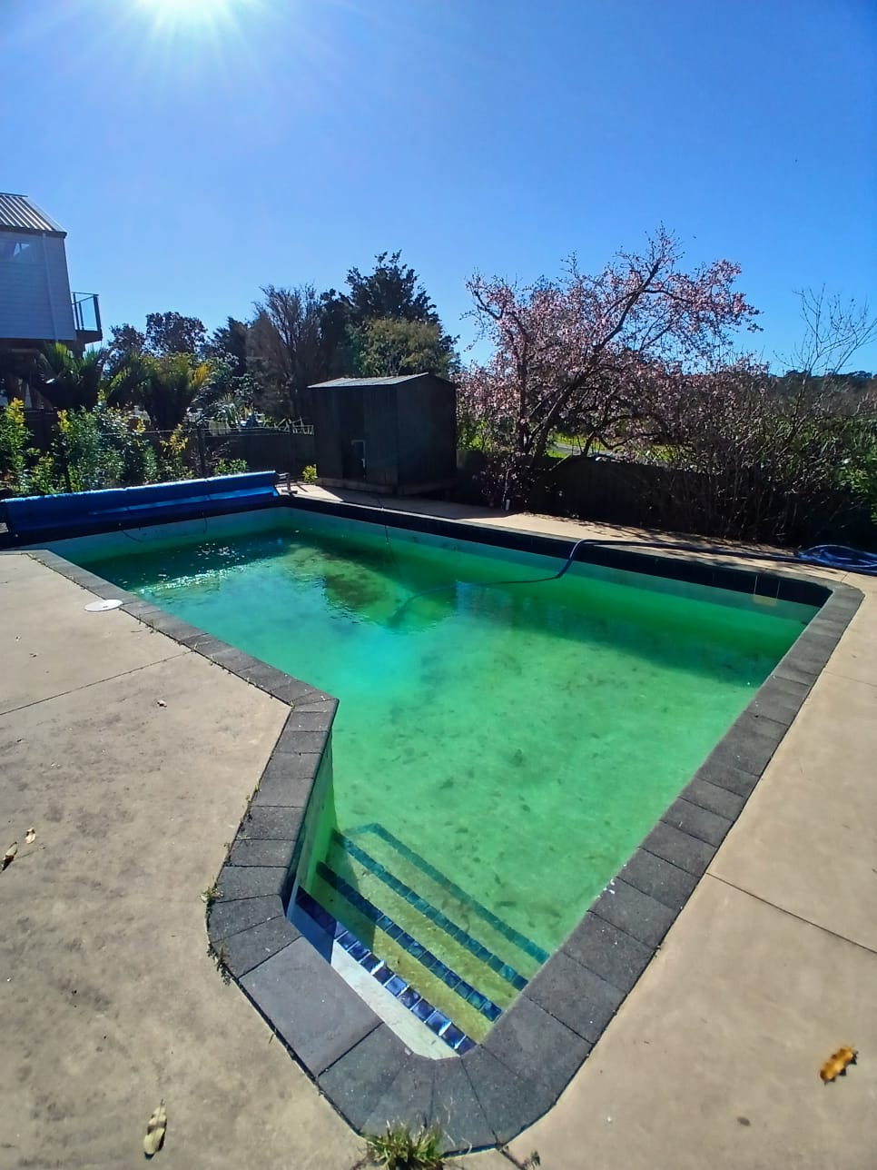 Hauraki Blue Pool Renovation in Auckland