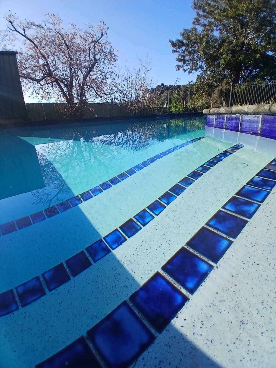 Hauraki Blue Pool Renovation in Auckland