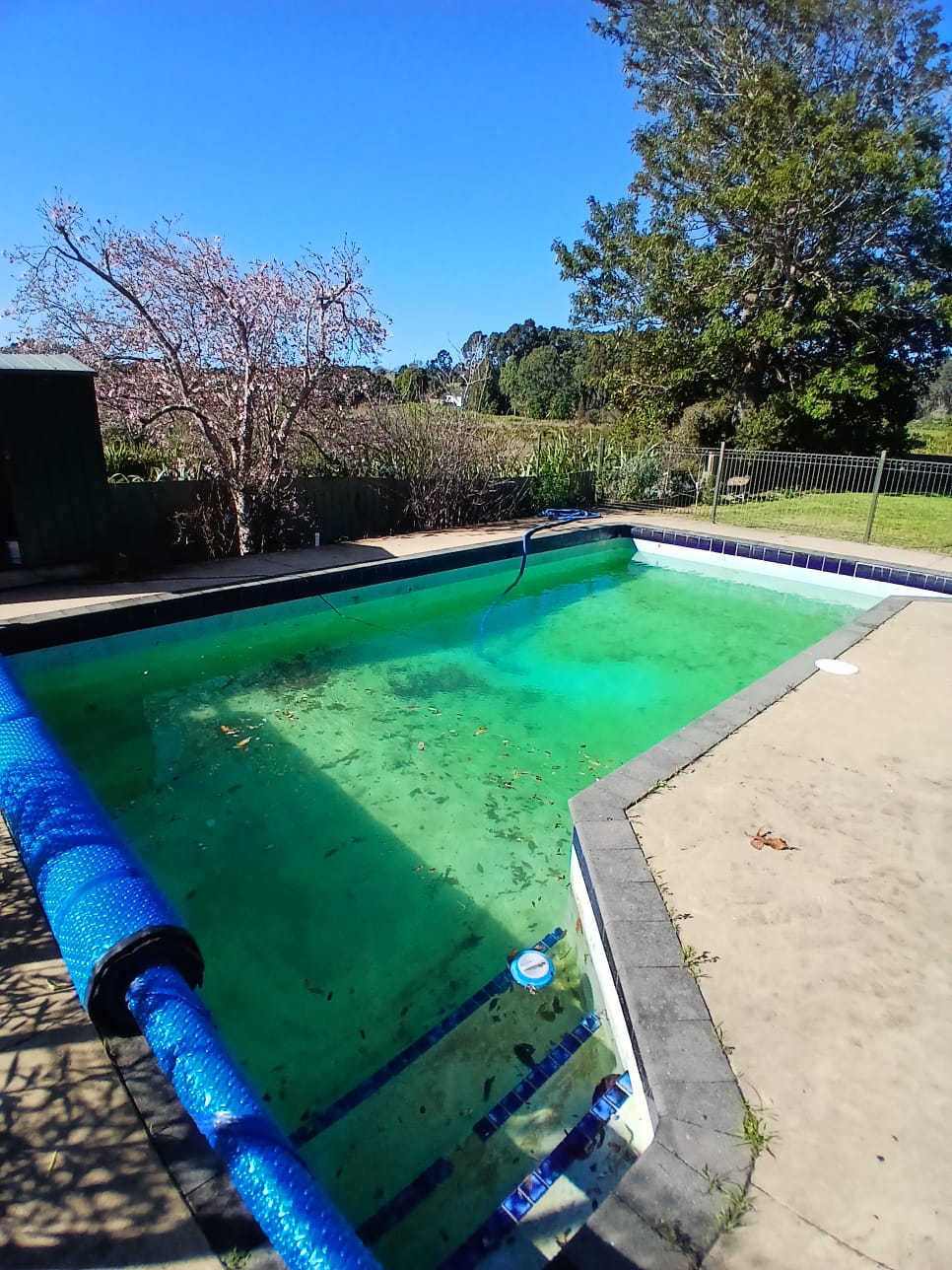 Hauraki Blue Pool Renovation in Auckland